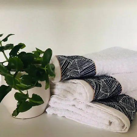 Bordeaux Centre T2 Duplex 65m Hospital Pellegrin Chu *