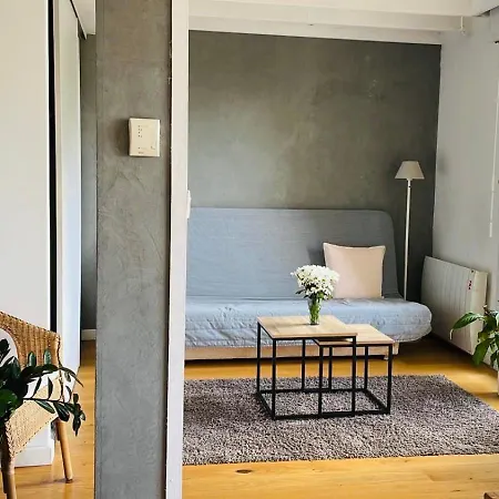 Bordeaux Centre T2 Duplex 65m Hospital Pellegrin Chu Мериньяк