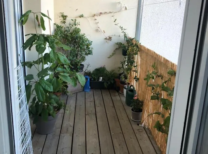 Bordeaux Centre T2 Duplex 65m Hospital Pellegrin Chu *