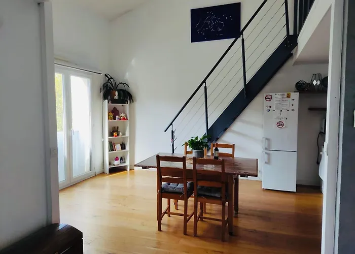 Apartment Bordeaux Centre T2 Duplex 65m Hospital Pellegrin Chu Mérignac