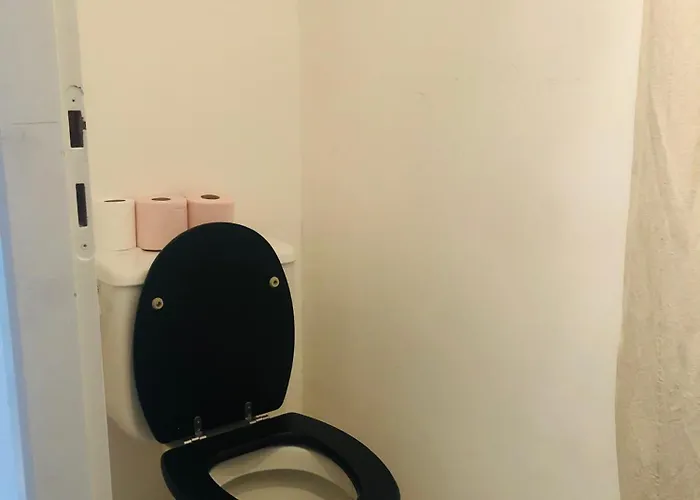 Apartment Bordeaux Centre T2 Duplex 65m Hospital Pellegrin Chu