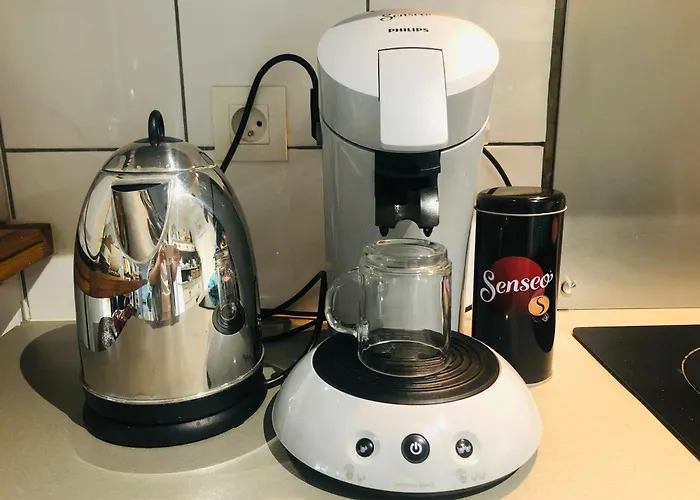 Bordeaux Centre T2 Duplex 65m Hospital Pellegrin Chu Apartment Mérignac