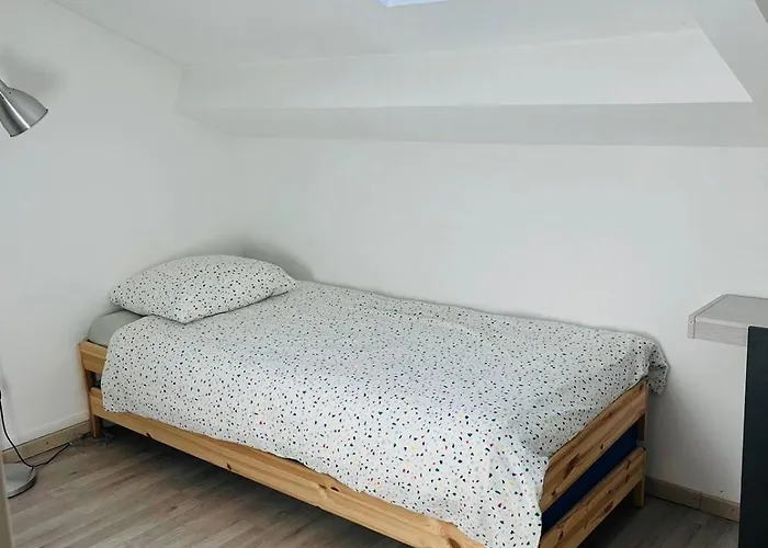 Bordeaux Centre T2 Duplex 65m Hospital Pellegrin Chu Mérignac