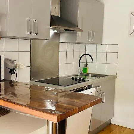 Joli Duplex 65m Chu Bordeaux Parking Prive